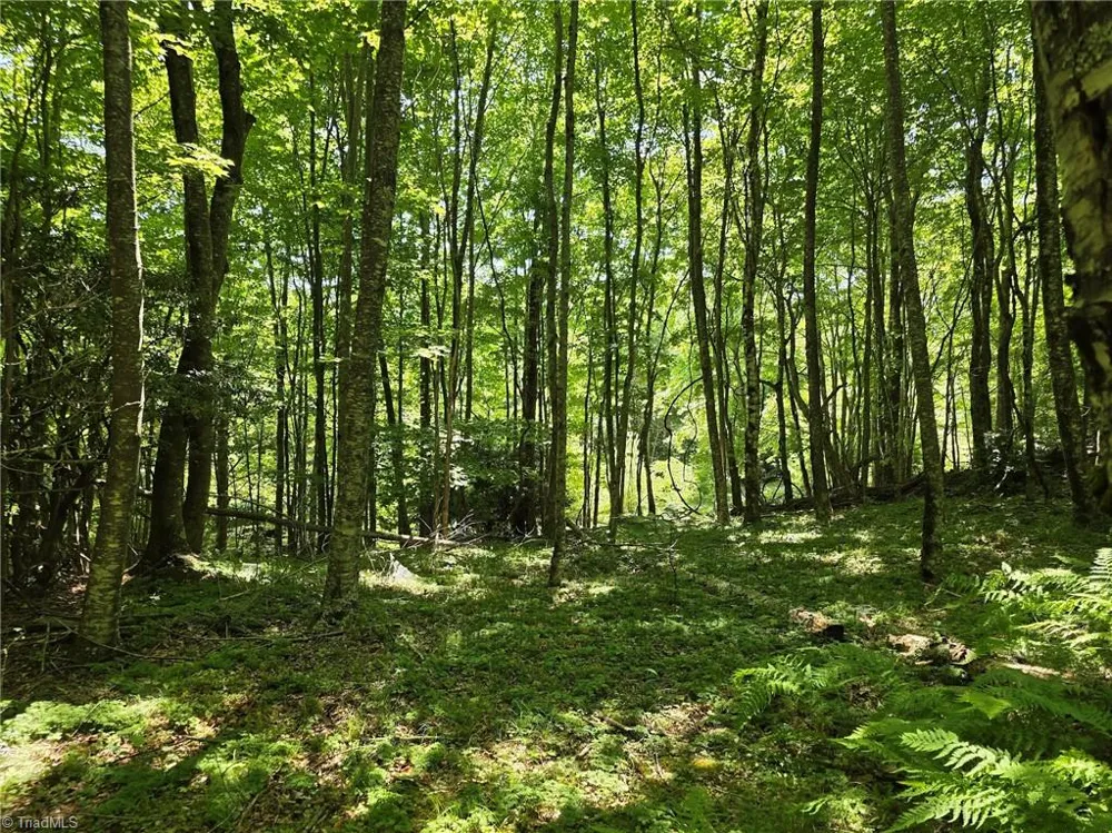 TBD 76 White Tail Trail West Jefferson, NC 28694