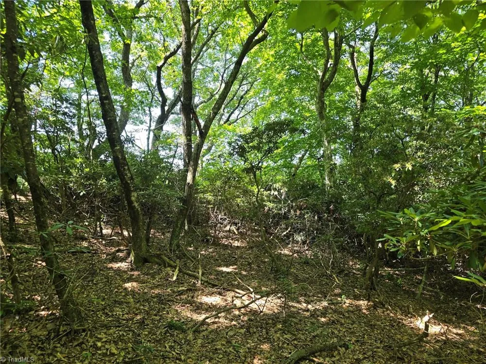 TBD 76 White Tail Trail West Jefferson, NC 28694
