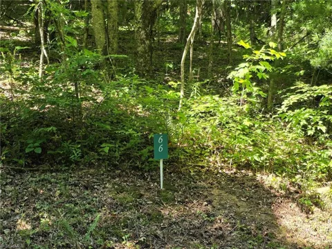 TBD 66 White Tail Trail