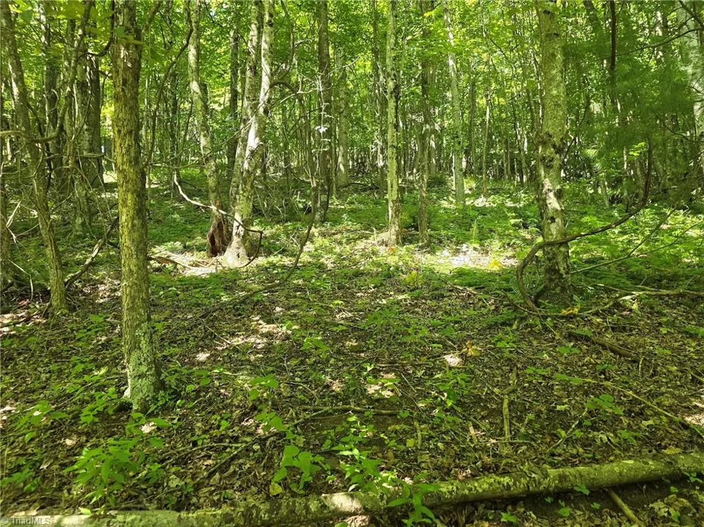 TBD 66 White Tail Trail West Jefferson, NC 28694
