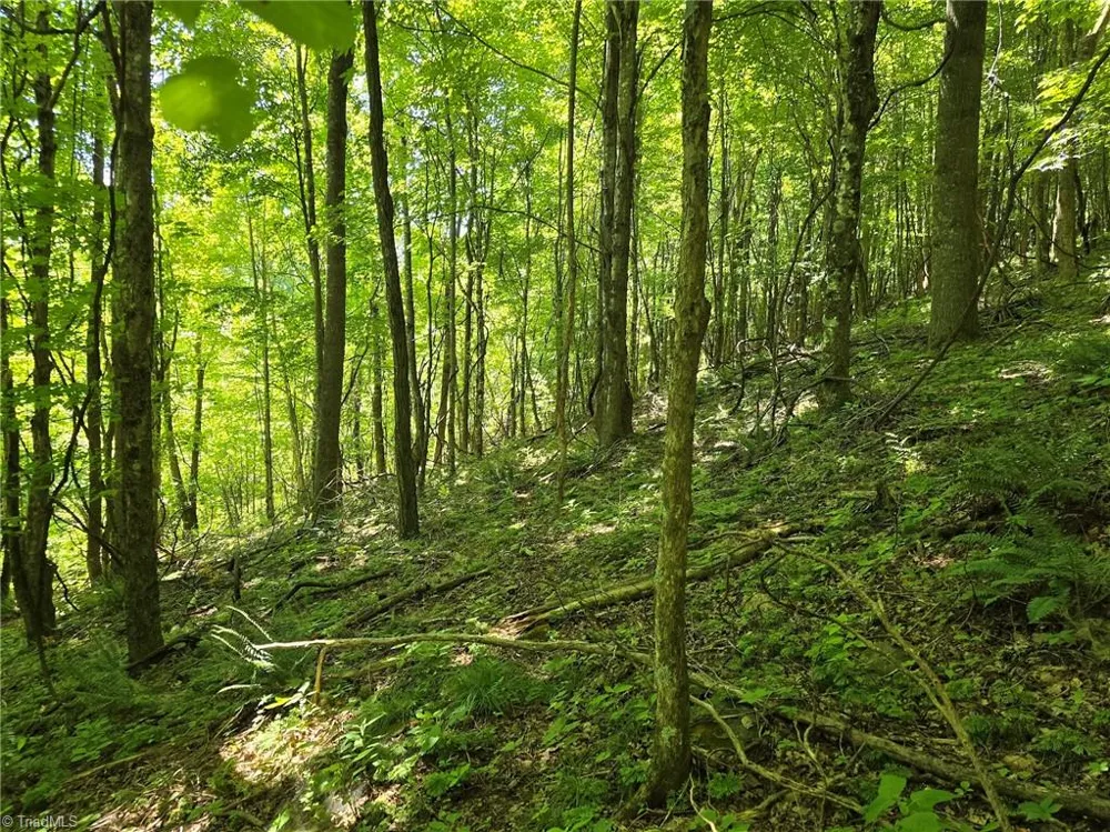 TBD 66 White Tail Trail West Jefferson, NC 28694