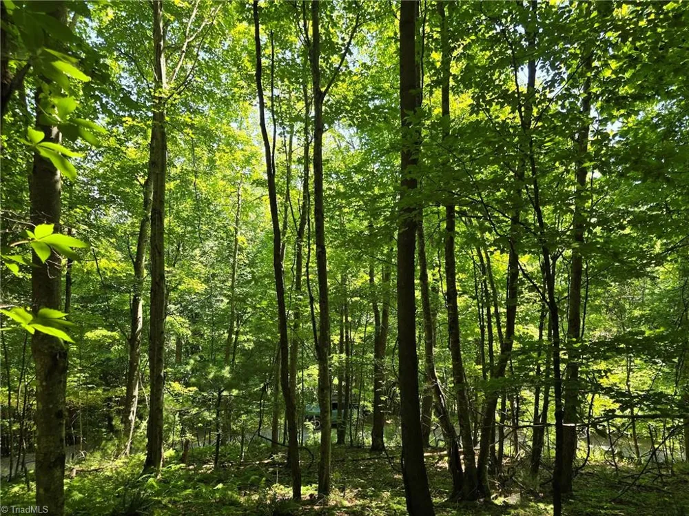 TBD 66 White Tail Trail West Jefferson, NC 28694