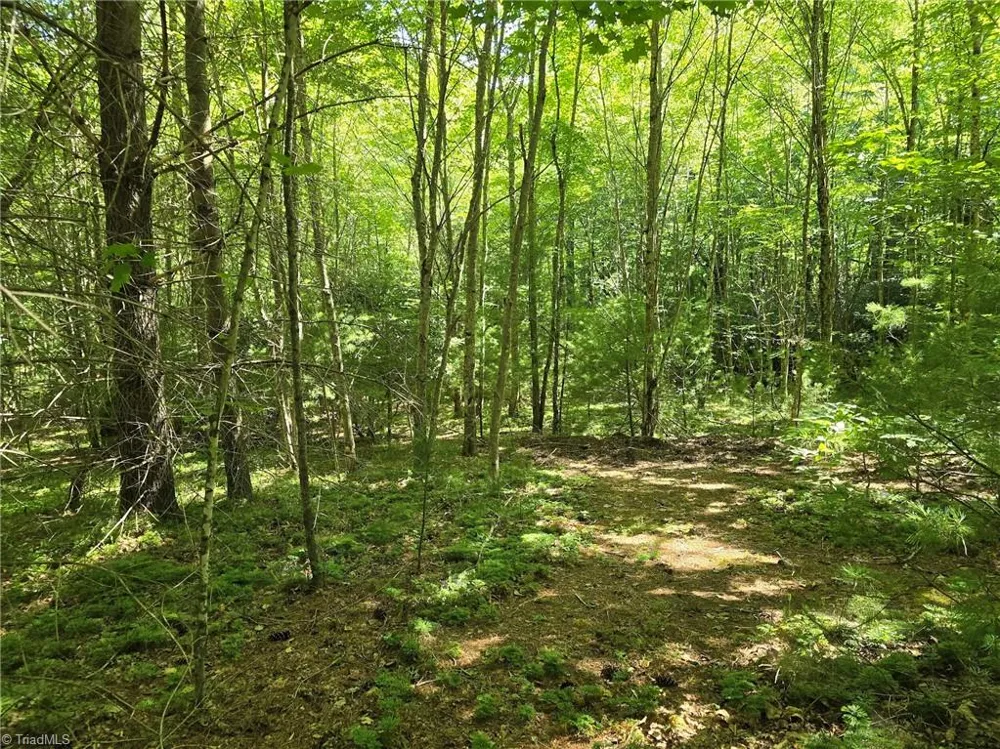 TBD 50 Deer Spring Lane West Jefferson, NC 28694