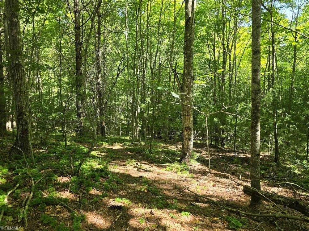 TBD 50 Deer Spring Lane West Jefferson, NC 28694