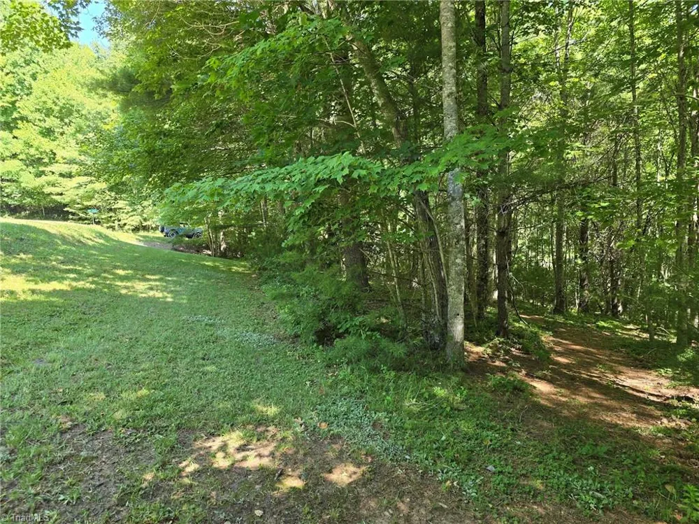 TBD 50 Deer Spring Lane West Jefferson, NC 28694