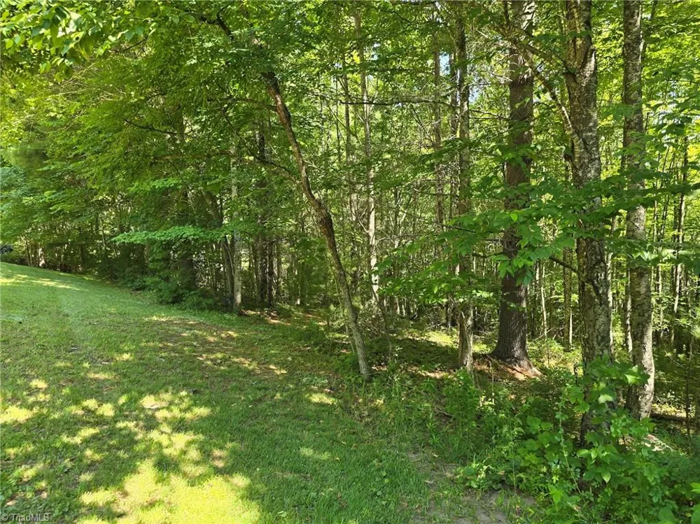 TBD 50 Deer Spring Lane West Jefferson, NC 28694