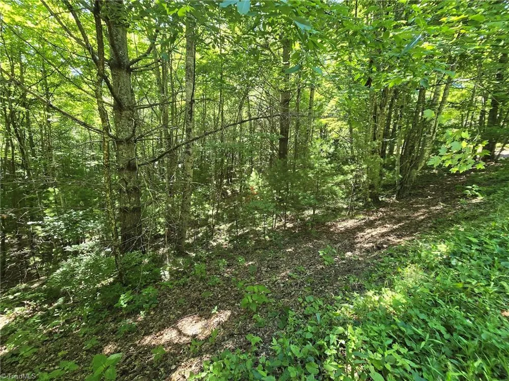 TBD 50 Deer Spring Lane West Jefferson, NC 28694