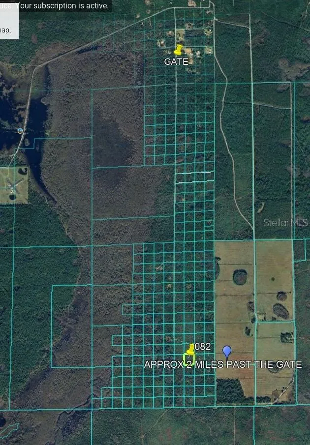 LAKE HARNEY ROAD Osteen, FL 32764