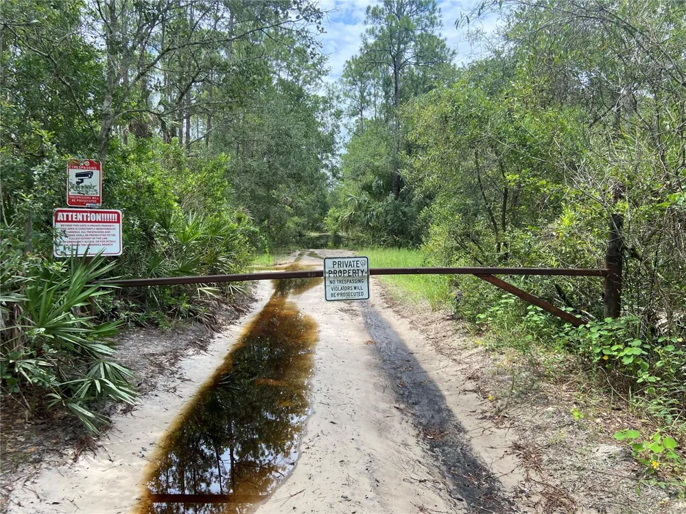LAKE HARNEY ROAD Osteen, FL 32764