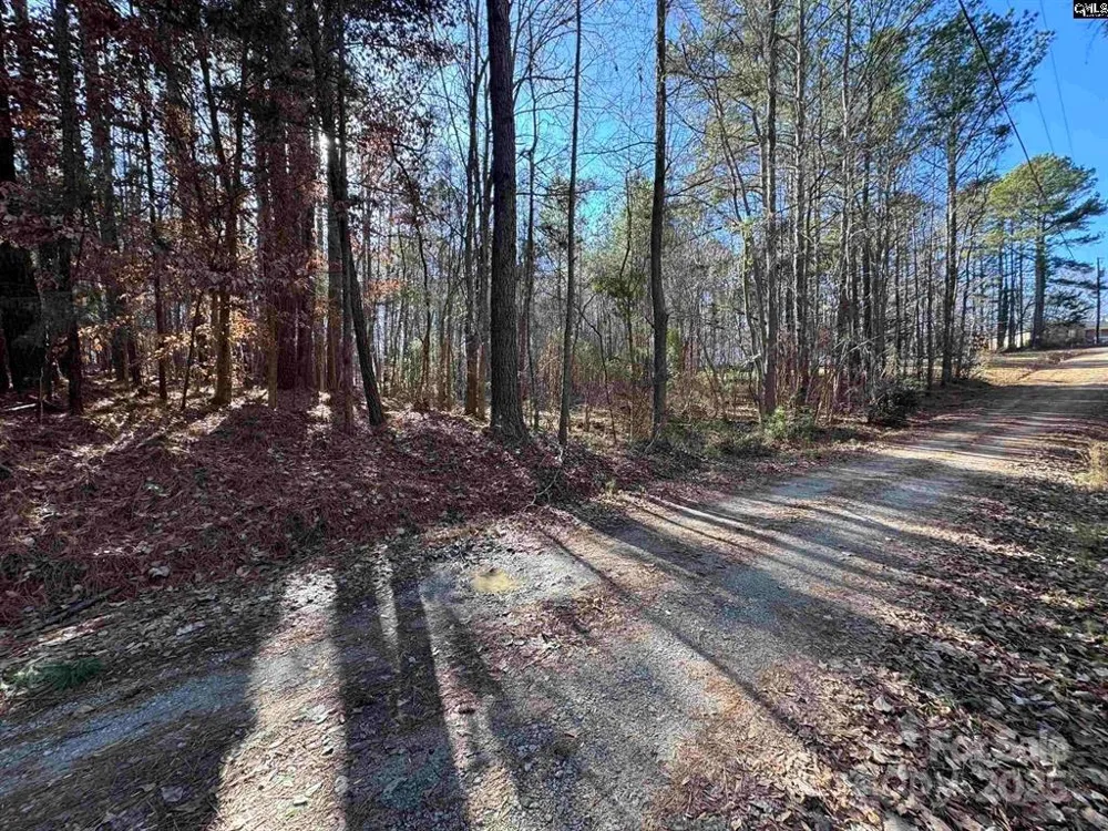 TBD Theron Circle Lancaster, SC 29720