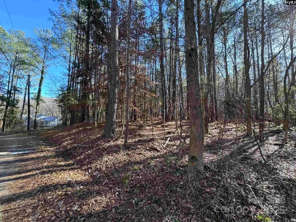 TBD Theron Circle Lancaster, SC 29720