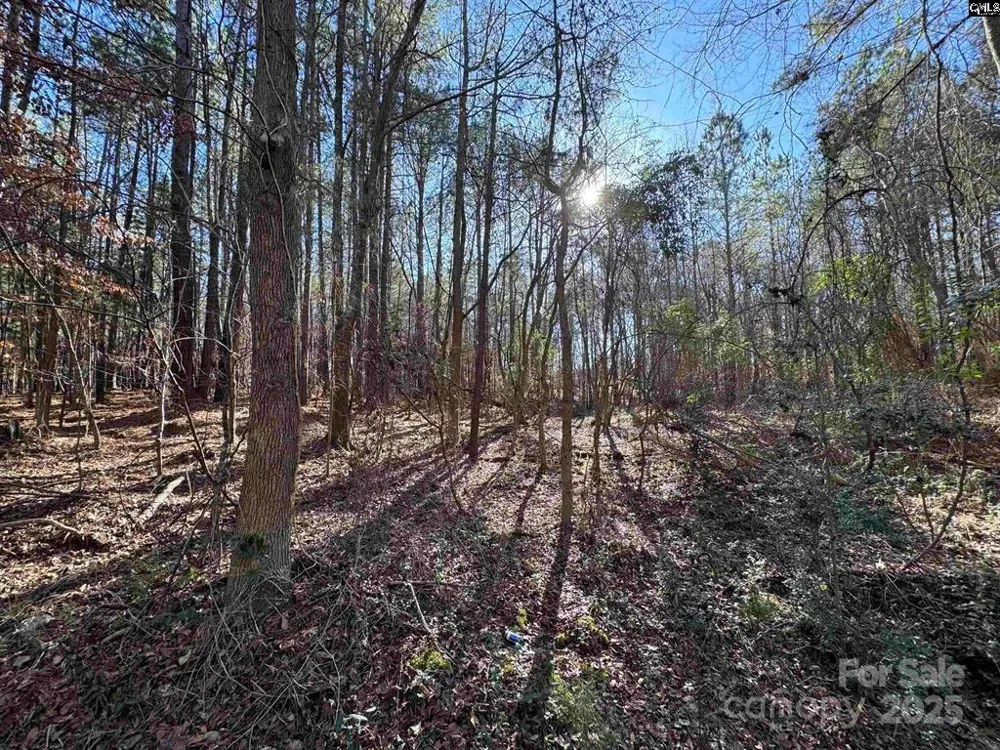 TBD Theron Circle Lancaster, SC 29720