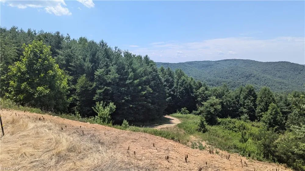 1501 Buckwheat Road McGrady, NC 28649