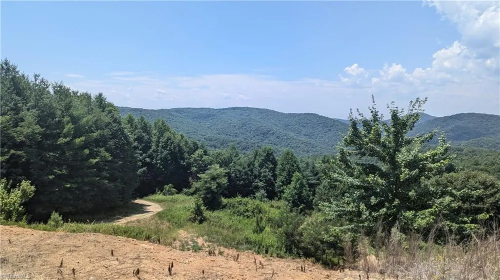 1501 Buckwheat Road McGrady, NC 28649