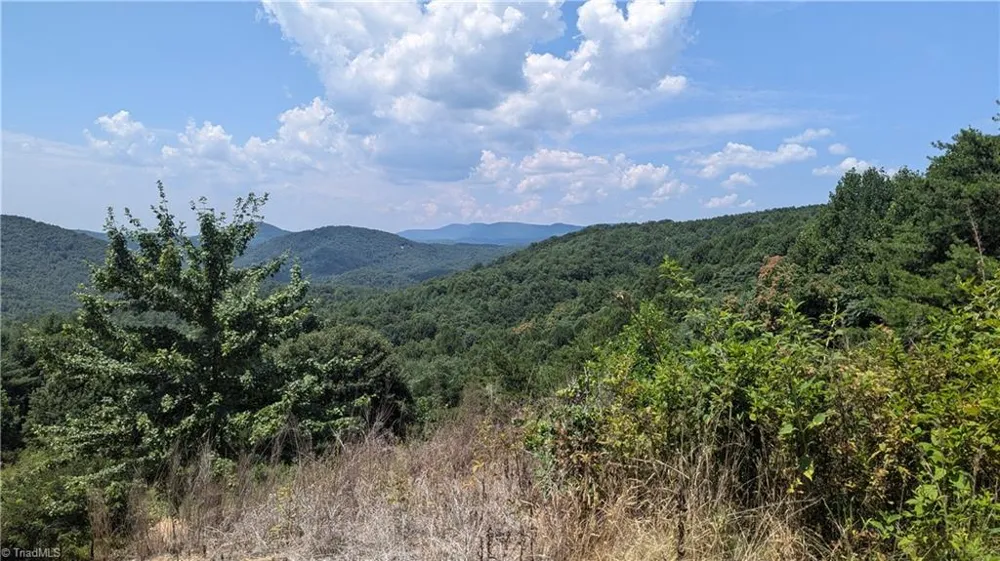 1501 Buckwheat Road McGrady, NC 28649