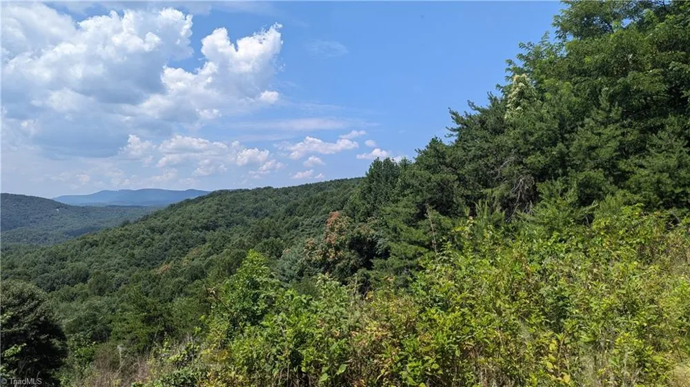 1501 Buckwheat Road McGrady, NC 28649
