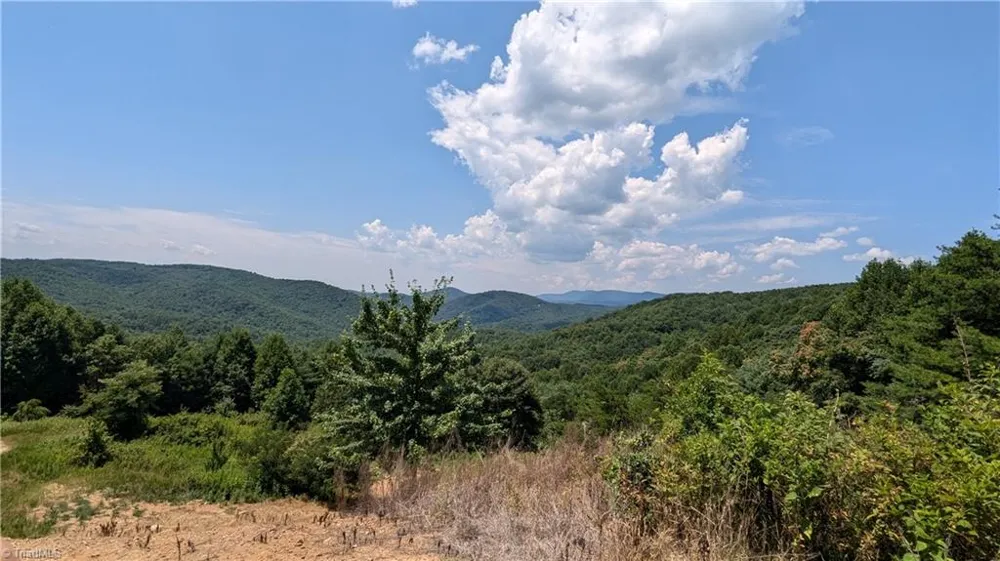 1501 Buckwheat Road McGrady, NC 28649