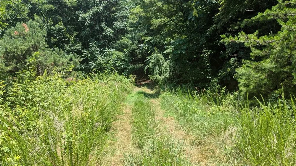 1501 Buckwheat Road McGrady, NC 28649