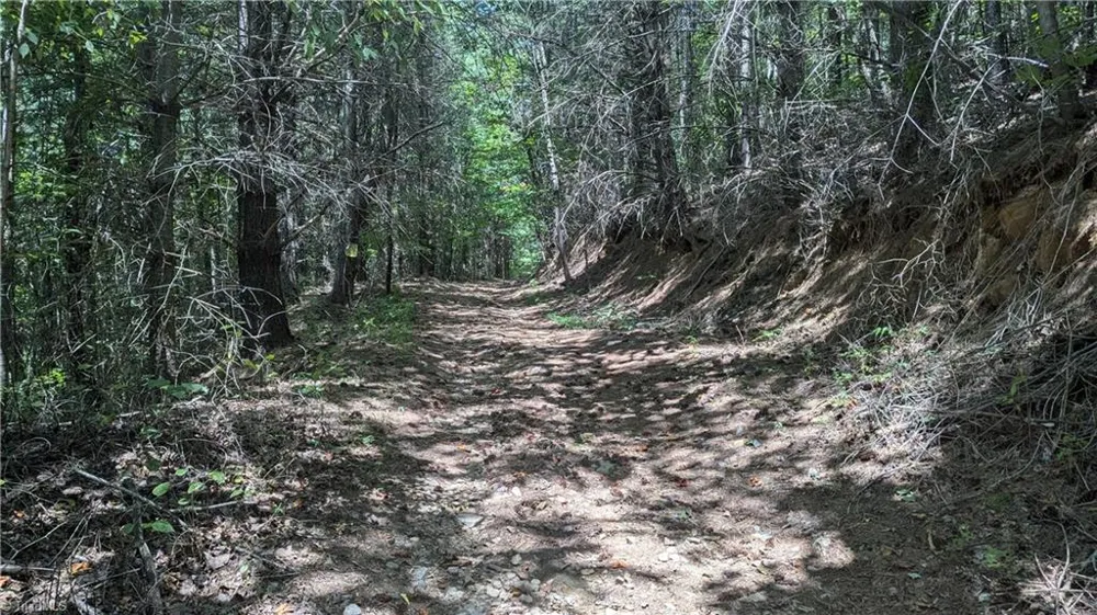 1501 Buckwheat Road McGrady, NC 28649