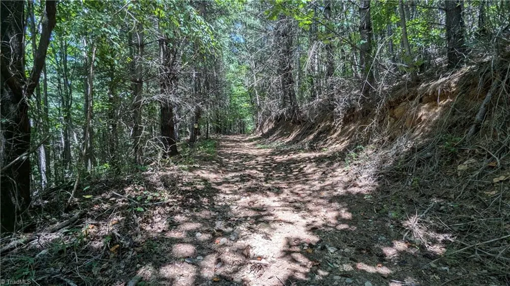 1501 Buckwheat Road McGrady, NC 28649