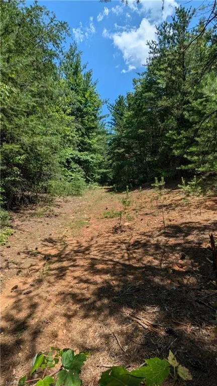 1501 Buckwheat Road McGrady, NC 28649