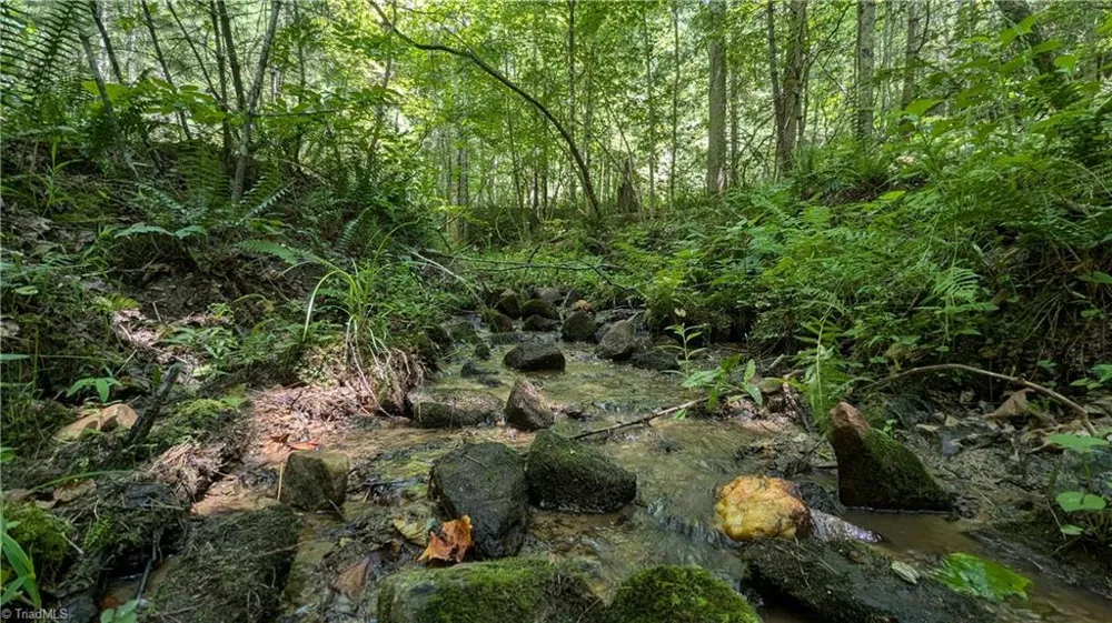 1501 Buckwheat Road McGrady, NC 28649