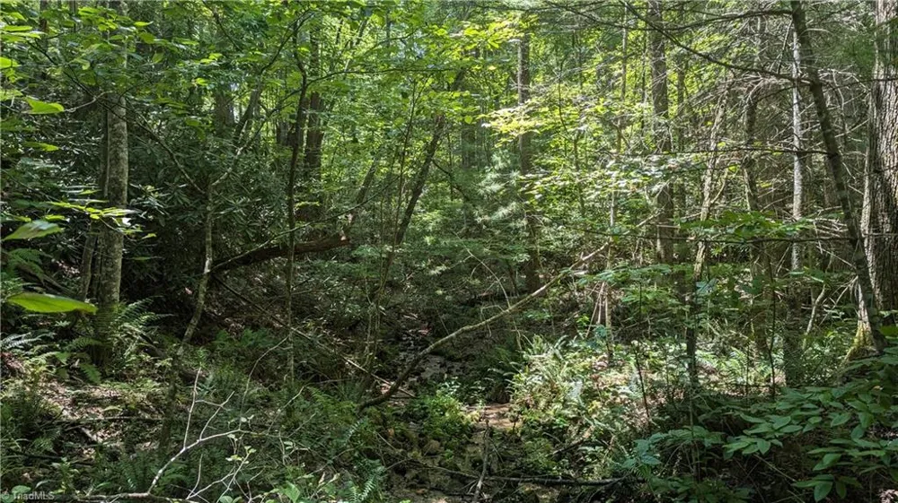 1501 Buckwheat Road McGrady, NC 28649