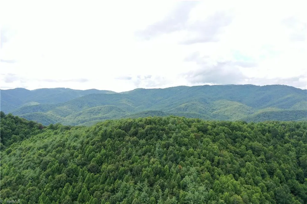 1501 Buckwheat Road McGrady, NC 28649