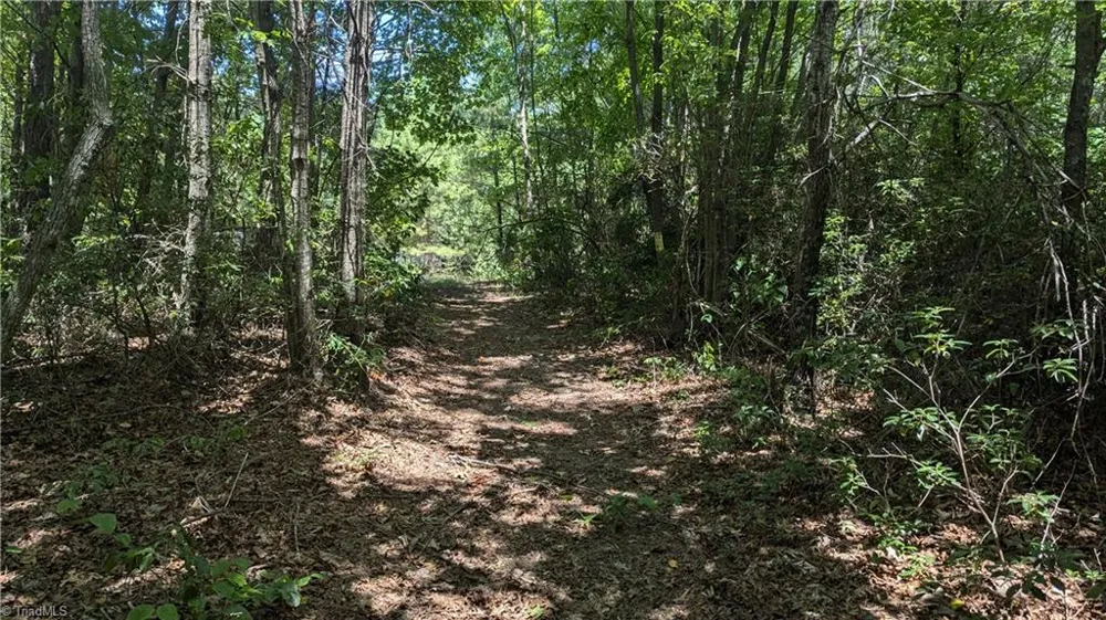 1501 Buckwheat Road McGrady, NC 28649