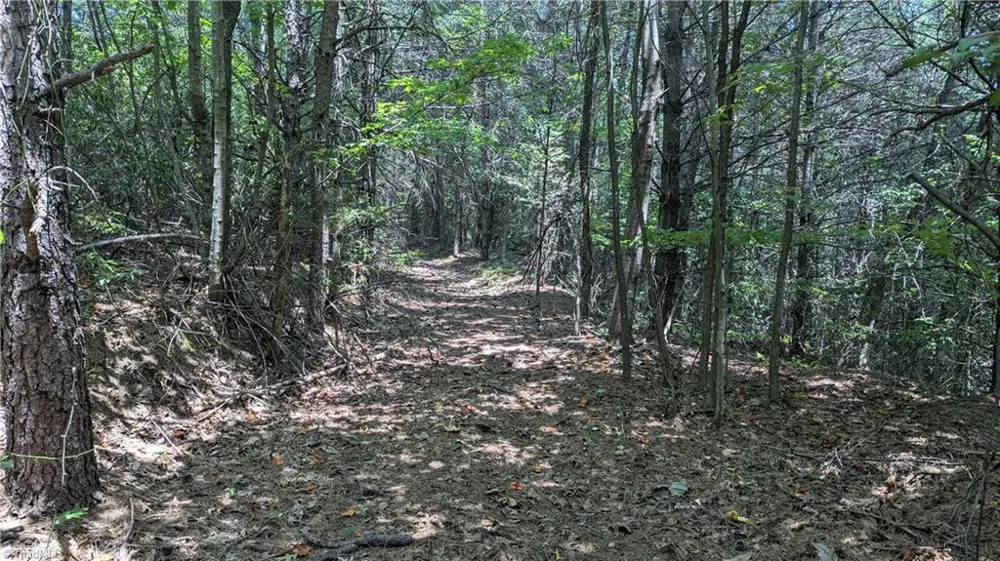 1501 Buckwheat Road McGrady, NC 28649