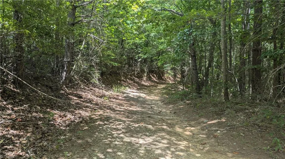 1501 Buckwheat Road McGrady, NC 28649