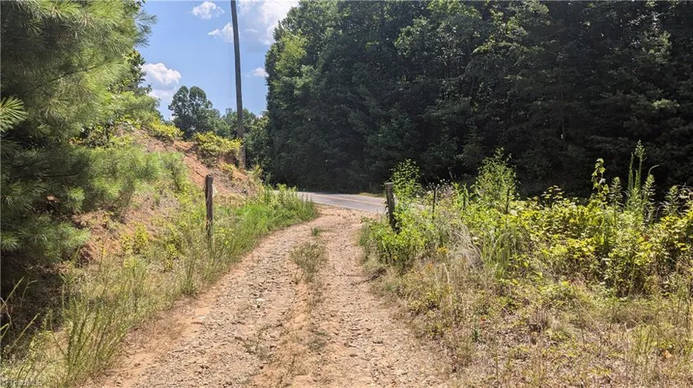 1501 Buckwheat Road McGrady, NC 28649