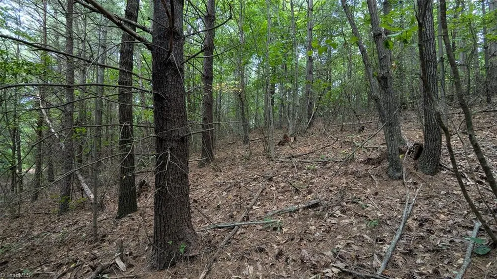 1501 Buckwheat Road McGrady, NC 28649