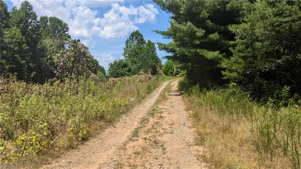 1501 Buckwheat Road McGrady, NC 28649