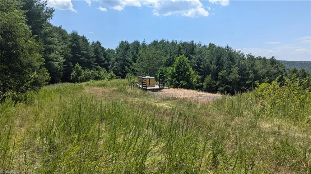 1501 Buckwheat Road McGrady, NC 28649