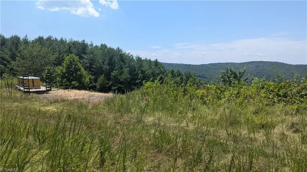 1501 Buckwheat Road McGrady, NC 28649