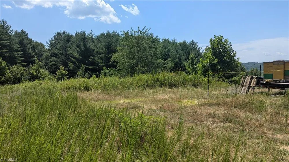 1501 Buckwheat Road McGrady, NC 28649