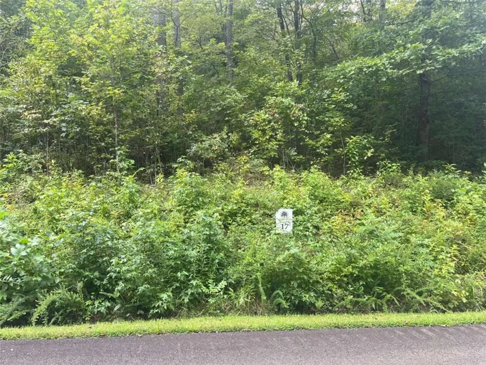 LOT 17 Staurolite Mountain Drive Blue Ridge, GA 30513