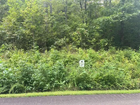 LOT 17 Staurolite Mountain Drive
