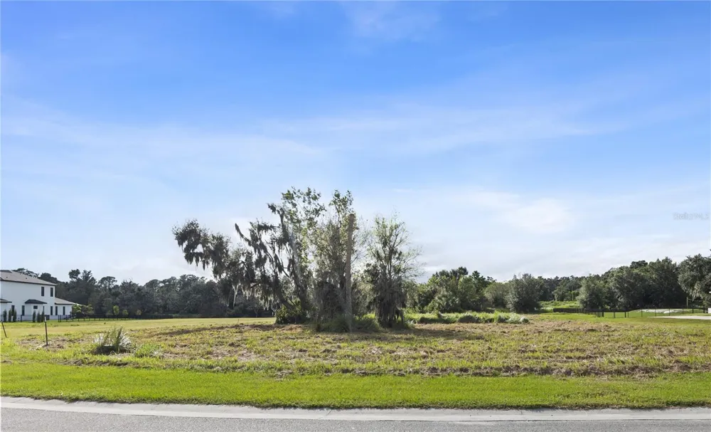 15323 FISHHAWK HEIGHTS RUN Lithia, FL 33547