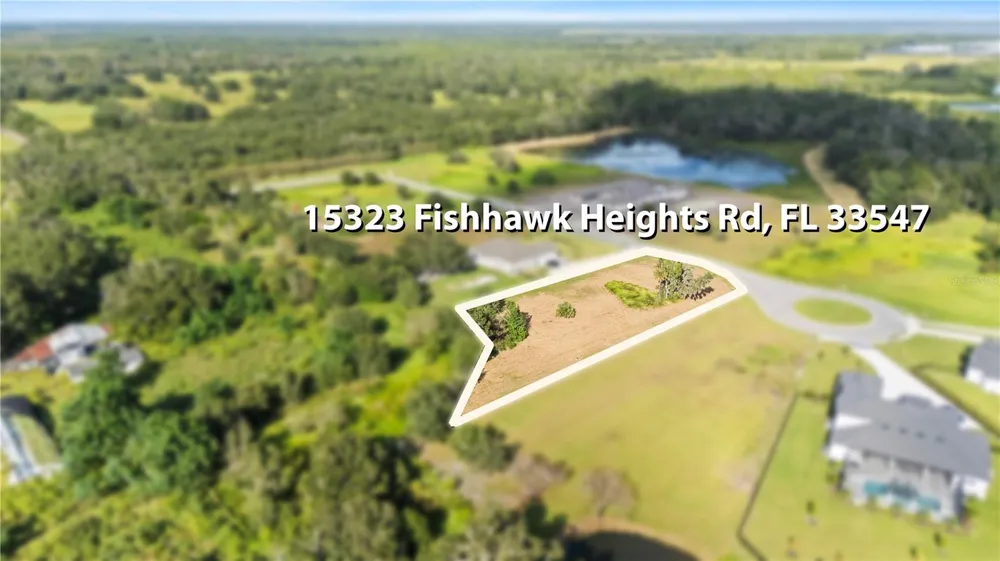15323 FISHHAWK HEIGHTS RUN Lithia, FL 33547