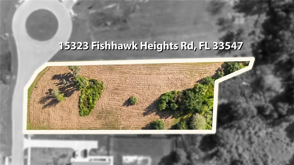 15323 FISHHAWK HEIGHTS RUN Lithia, FL 33547