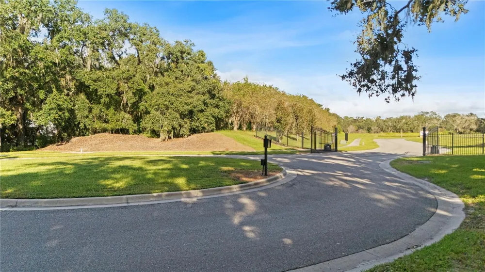 15323 FISHHAWK HEIGHTS RUN Lithia, FL 33547