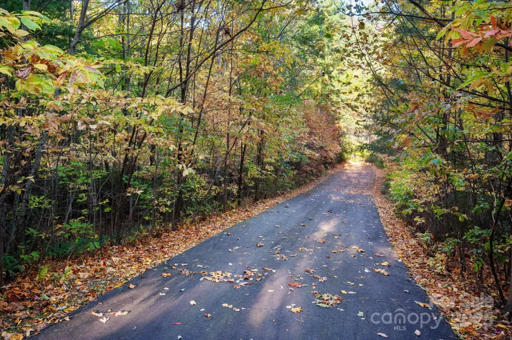 9 Wapama Falls Drive #17 Black Mountain, NC 28711