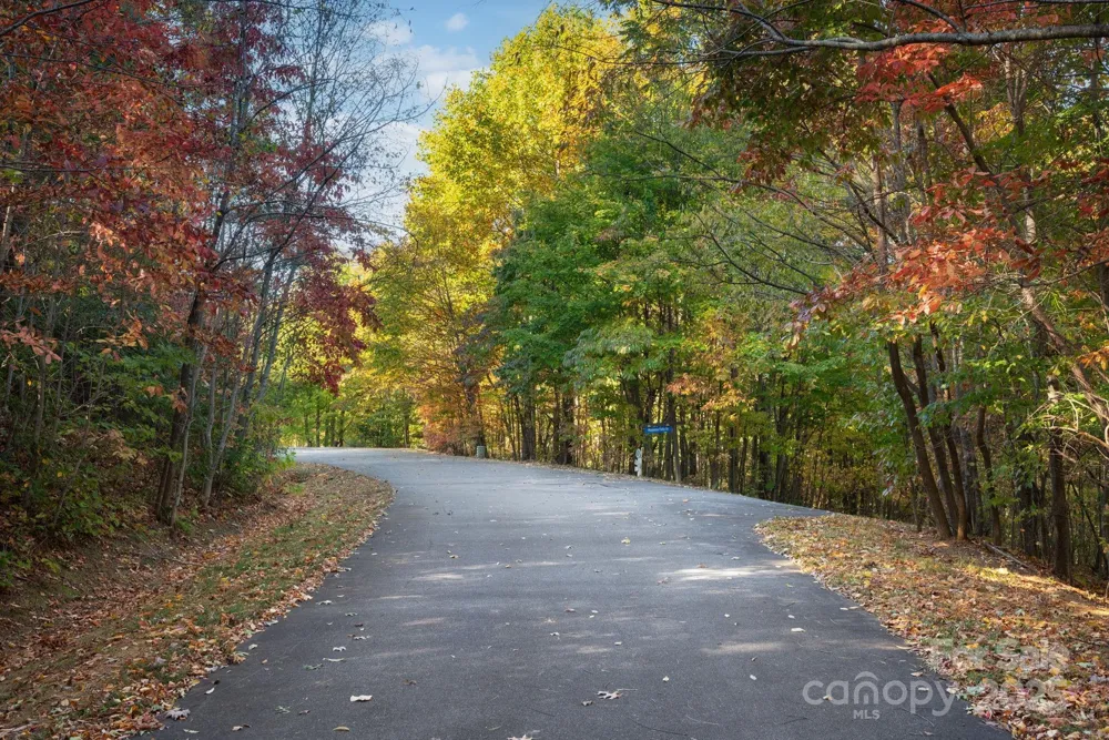9 Wapama Falls Drive #17 Black Mountain, NC 28711