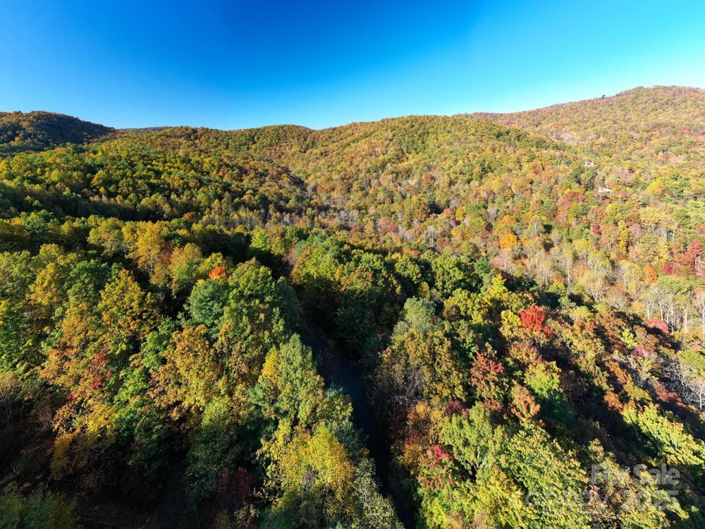 9 Wapama Falls Drive #17 Black Mountain, NC 28711