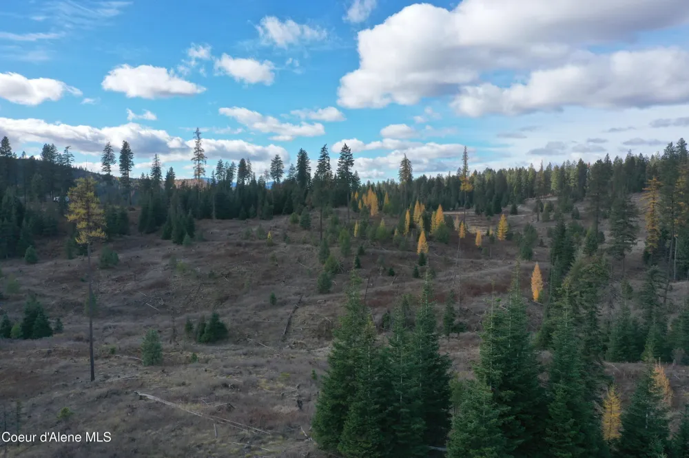 NKA Bugle Point Rd. St. Maries, ID 83861