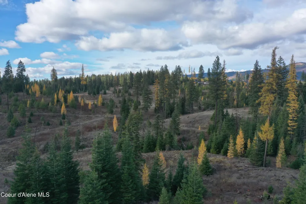 NKA Bugle Point Rd. St. Maries, ID 83861
