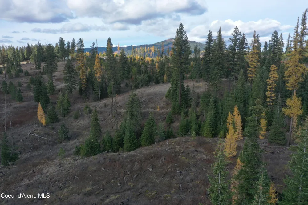 NKA Bugle Point Rd. St. Maries, ID 83861