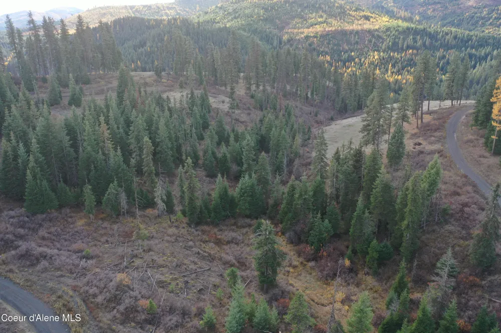 NKA Bugle Point Rd. St. Maries, ID 83861